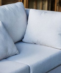 Ghế Sofa 2 chỗ ngồi SFS011 6